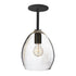 Clear Hand Blown Glass Orb Downrod Pendant Light- Matte Black Hammers and Heels