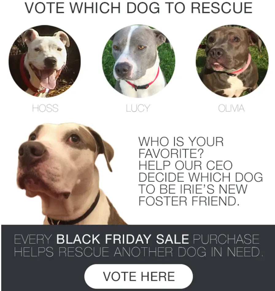 Black Friday Sale - a chance to rescue a dog in need Hammers and Heels